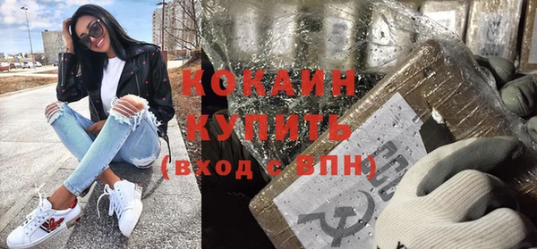 крисы Козельск