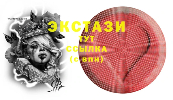 крисы Козельск