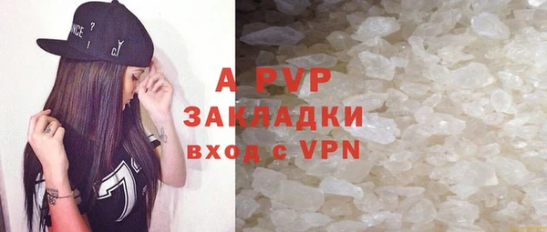 крисы Козельск