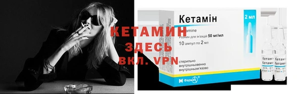 крисы Козельск