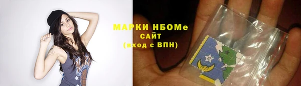 крисы Козельск