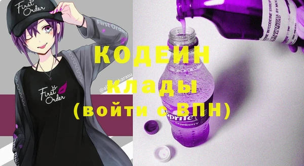 крисы Козельск
