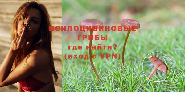 крисы Козельск