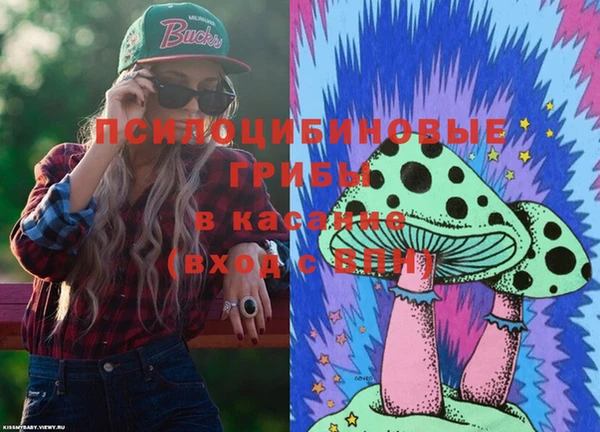 крисы Козельск