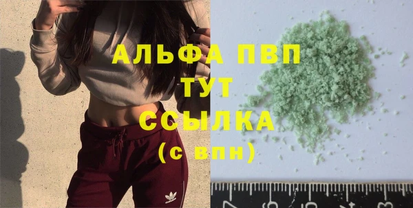 крисы Козельск