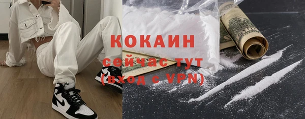 крисы Козельск