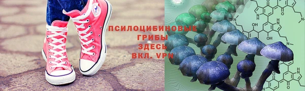 первитин Кодинск