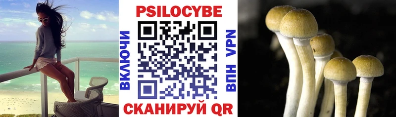 Купить  Белая Калитва  Галлюциногенные грибы ЛСД 